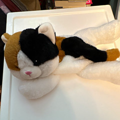 Kellytoy Cat Plush Stuffed Animal White Black Brown 2012 Washable missing sachet
