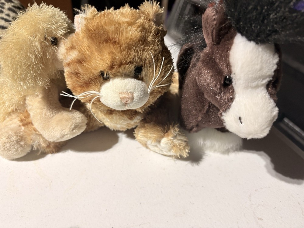Lots Ganz Webkinz