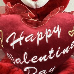 Dan Dee Collector’s Choice Happy Valentine’s Day 2004 Teddy Bear W Tags