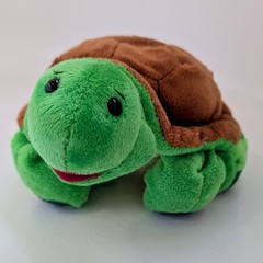 Webkinz Turtle Plush (2008) – No Code – HM150 – Tags+Magic W Intact
