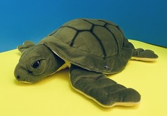 XL Angel Toy “ Plush Stuff Turtle “ – Green & Beige
