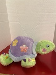 Webkinz Daisy Tortoise, No Code