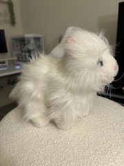 Webkinz Persian Cat – No Code