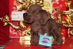 WEBKINZ COCOA LAB.COMES WITH SEALED/UNUSED CODE/TAG-NICE GIFT