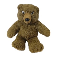 1994 Jesse Bear What Will You Wear Story Book Bruce Degen Plush See Description