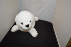 Wild Republic Stuffed Animal Plush Harp Seal K & M International 13″ X6