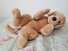 Douglas Plush Lot ESSA Retriever Wolf Shiba Inu