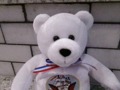 USA Navy Military Bear, Beanbag Plush, White, w/Tags 8″