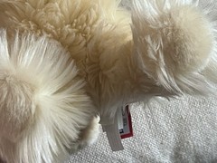 Douglas White Chocolate Cocker Spaniel Dog Tan Cream Beige Rare 2013 #1928