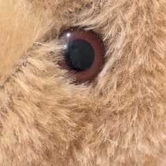 Vintage Felpa Mutzli Zurich Swiss Mohair Teddy Bear 14” Handmade Outfit