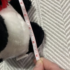 Superior Toy Co Hard Plush Skunk with Flower Carnival Toy Black and White