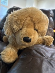 Honey 23″ Golden Retriever Dog Plush Douglas #1850 Stuffed Animal Cuddle Toy Pup