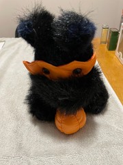 Scottish Terrier Orange Plastic Mask and Pumpkin Black and Blue Stuffed Toy