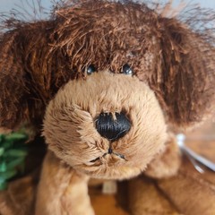 Webkinz Sealed Brown Dog HM195 Plush Stuffed Animal Retired Code Puppy Nwt