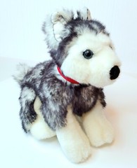 Gund SIBERIAN HUSKY JR Dog Plush Blue Eyes Red Collar 12″ #13106 Puppy
