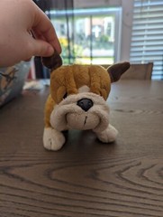 Webkinz Bulldog HM126 No Code Active Plush Stuffed Animal, Pet of the Month 2007