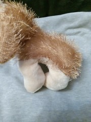 Ganz Webkinz Cocker Spaniel HM011 Tan Dog Stuffed Animal- No Code