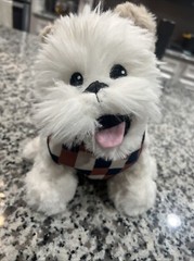 TARGET Cuddle Collab Popeye Dog Brand New Limited Edition Plush Toy
