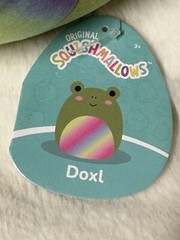 Squishmallows: Doxl the Green Frog with Rainbow Tummy – 5 inch NWT