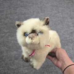 Gund SIAMESE CAT Collectors Classic Ltd Edition 9” Plush Stuffed Animal LL