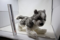 Sasha 10” Siberian Husky Douglas Plush Dog Gray White Wolf Worn Nose 1803.1