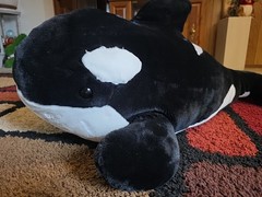 Killer Whale – SeaWorld – Extra Large Stuffed Animal – 32 Inch Genuine Soft!!