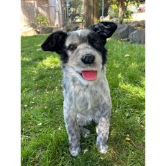 Cuddle Clones Realistic Australian Cattle Dog Plush Black White Gray