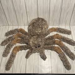 Plush Spider Wishpets HAIRY Tarantula Stuffed Animal Halloween 2006 Toy Soft E