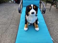 Alps The Burnes Monten Dog From Douglas Cuddle Toys Plush New With Tags.
