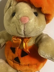 Halloween Plush Beige Cream Cat Pumpkin Stuffed Animal 11” Genich International