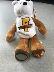 Limited Treasures State Quarters Coin Teddy Bear Vermont #14 Kg Y1