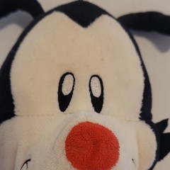 Yakko Warner from Animaniacs.- As Is