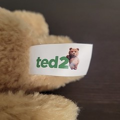 Ted 2 Movie Talking 9″ Plush Stuffed Animal New With Tags 2014 WORKS