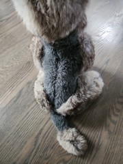 Vtg Mink? Real Fur Wool Stuffed Poodle Dog Plush Black Gray Tan 1950 1960’s? VGC