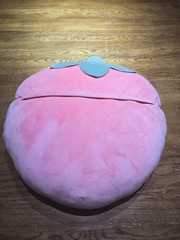 REFAHB Strawberry Big Pink Throw Pillow with Removable Mini Plush Strawberries