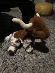 BIXBIE Plush Very Soft TEXAS LONGHORN Stuffed Steer Douglas Cuddle Toys #4624