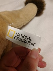 2021 National Geographic Venturelli Angelo Lelly Lion Wild Cat 10″ Plush