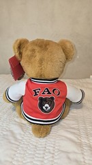 FAO Schwarz 1862 Varsity Jacket Teddy Bear