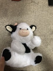 Cow