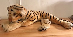 Large Steiff Tiger 36+ Inches Stuffed Animal