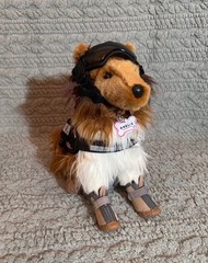 Whispy Sheltie Emotional Support ESSA Douglas Dog Stuffed Plush With Gear
