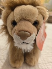 Wild Republic Lion Plush No Sound 8″ Stuffed Animal With Hangtag Free Shipping