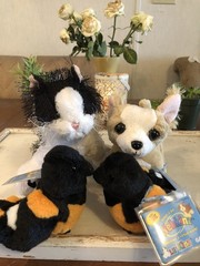 Webkinz Lil’ Kinz Orioles HS510 Chihuahua HS104 B&W Cat HM016 With Codes GANZ