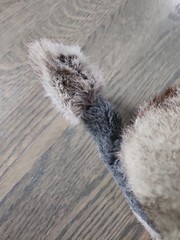 Vtg Mink? Real Fur Wool Stuffed Poodle Dog Plush Black Gray Tan 1950 1960’s? VGC