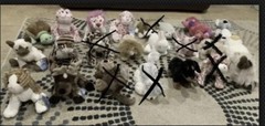 Webkinz with Unused Code