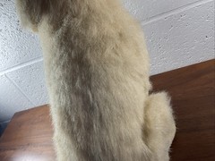 e j classic plush Realistic Golden Retriever 16” Used