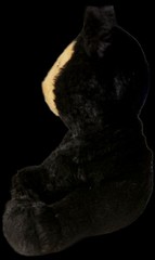 Vintage R Dakin Baby Blackfoot Teddy Bear Plush 9″ Black Tan Foot 1976 Bearfoot