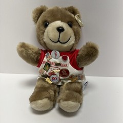 From the World of Smile International Inc Bear With State Farm & United Way Pins