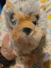Douglas Cuddle Toys Yonkers Plush Yorkie Terrier Dog #4087 small