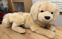 Toys R Us FAO Schwarz Golden Retriever Stuffed Plush 18” 2012 Laying Down